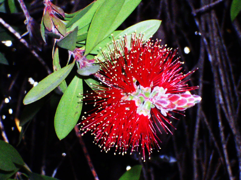 Photography by KeyTapper for DesignCrowd (Community Contests) | Design #9145773