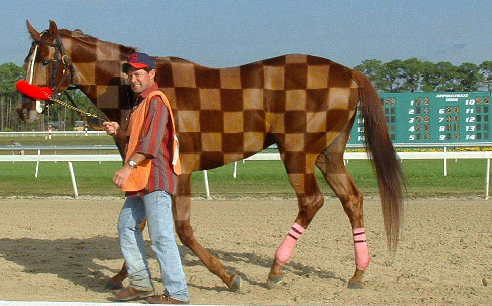 Photoshop Design by TampaDroid for DesignCrowd (Community Contests) | Design #9145148