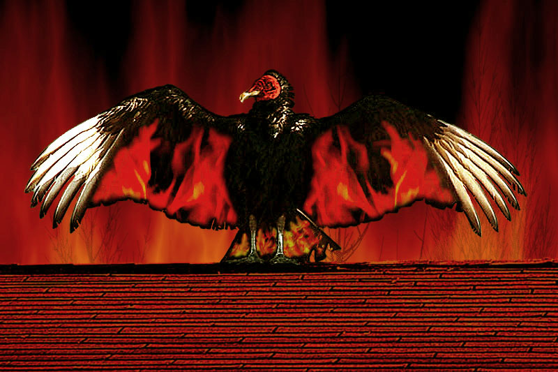 Diseño de Photoshop por Vortex para DesignCrowd (Community Contests) | Diseño #9145139