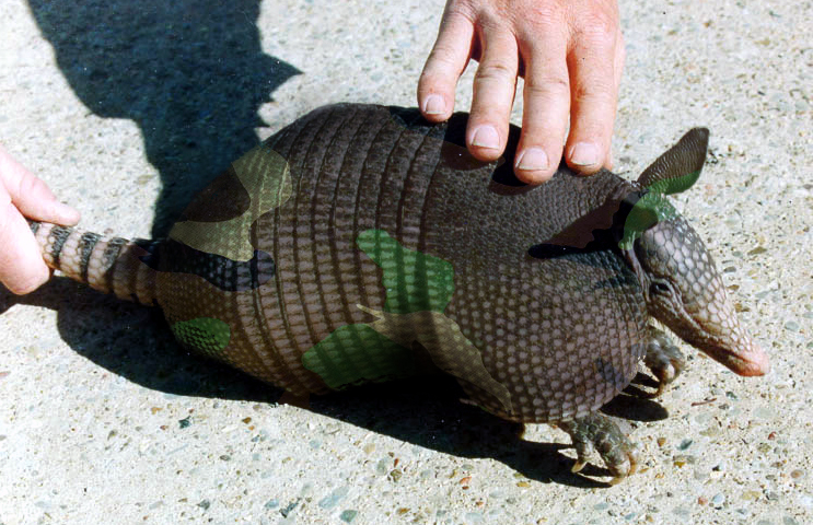 Photoshop Design by JuggoPop for DesignCrowd (Community Contests) | Design #9145248