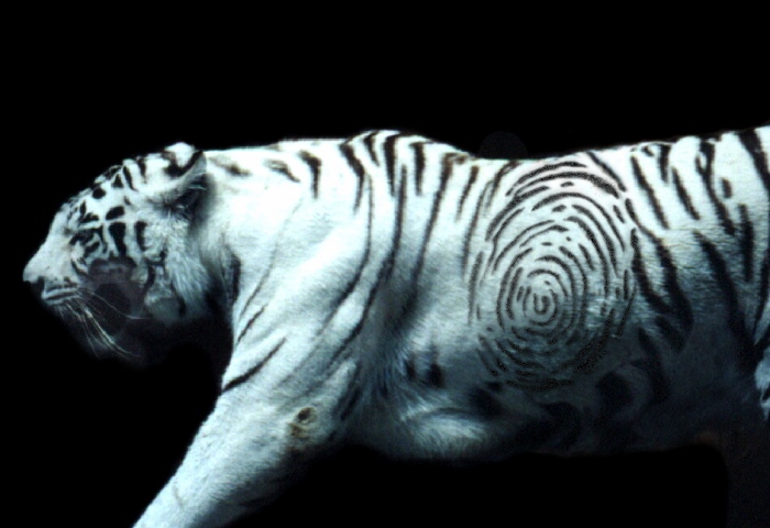 Photoshop-Design von Fux0r für DesignCrowd (Community Contests) | Design #9145175