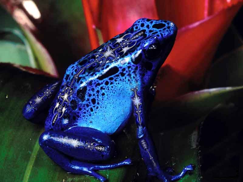 Photoshop-Design von Garsaelon für DesignCrowd (Community Contests) | Design #9145214