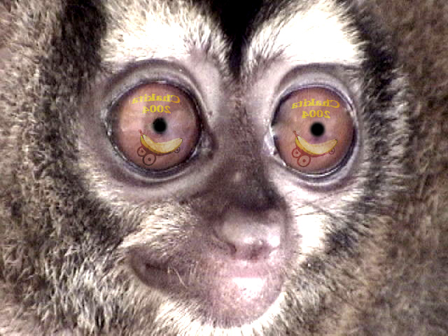 Photoshop-Design von frankgf für DesignCrowd (Community Contests) | Design #9122194