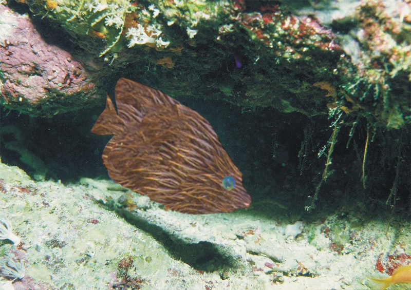 Photoshop Design by Bobz for DesignCrowd (Community Contests) | Design #9145205