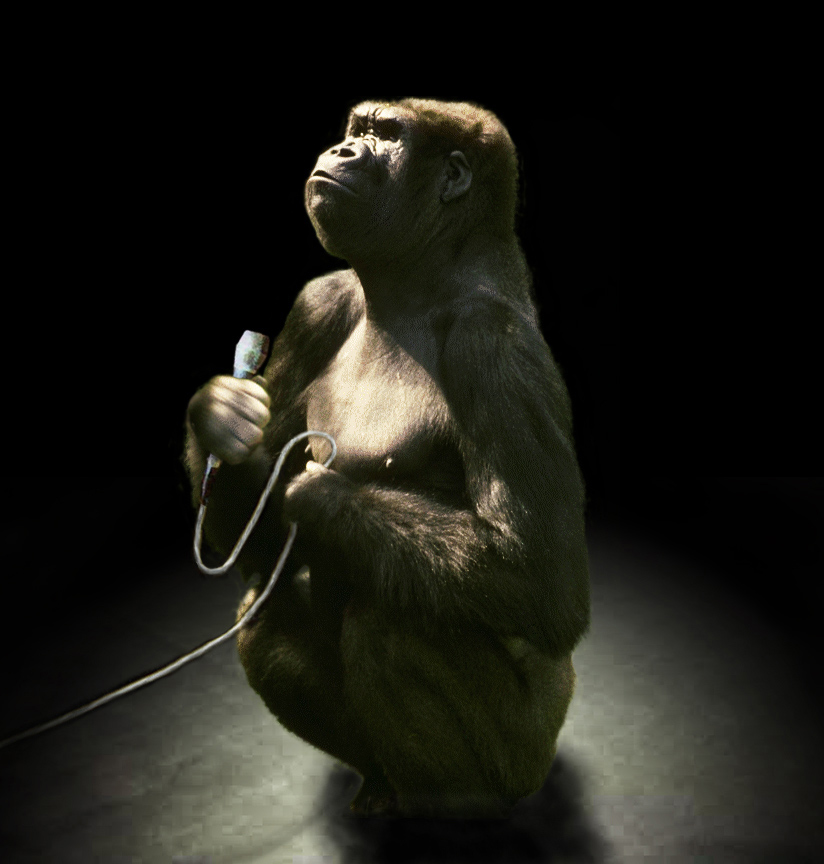 Design Photoshop par Ghost pour DesignCrowd (Community Contests) | Design #9122267