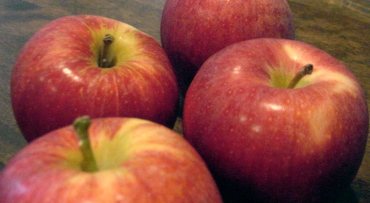 Photography by bikejump for DesignCrowd (Community Contests) | Design #9145817