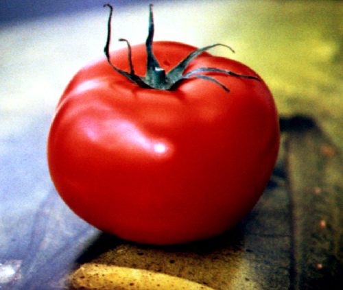 Photography by goblin for DesignCrowd (Community Contests) | Design #9145891