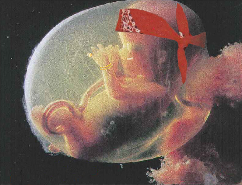 Diseño de Photoshop por Elliven para DesignCrowd (Community Contests) | Diseño #9145356