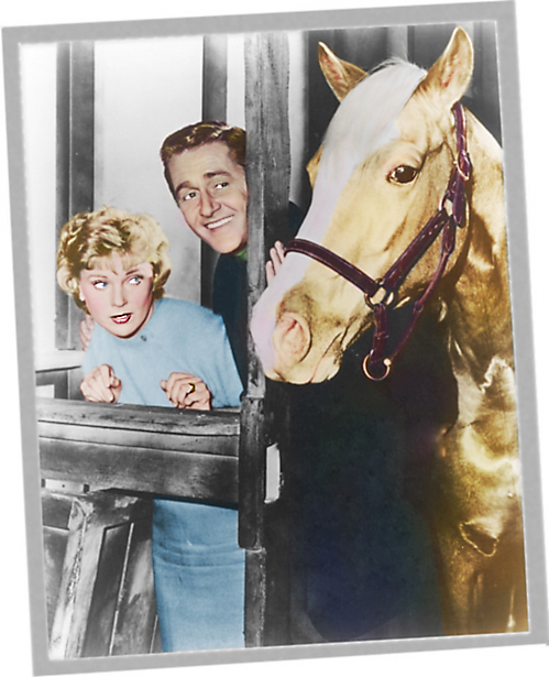 Photoshop Design by g4girl for DesignCrowd (Community Contests) | Design #9129312