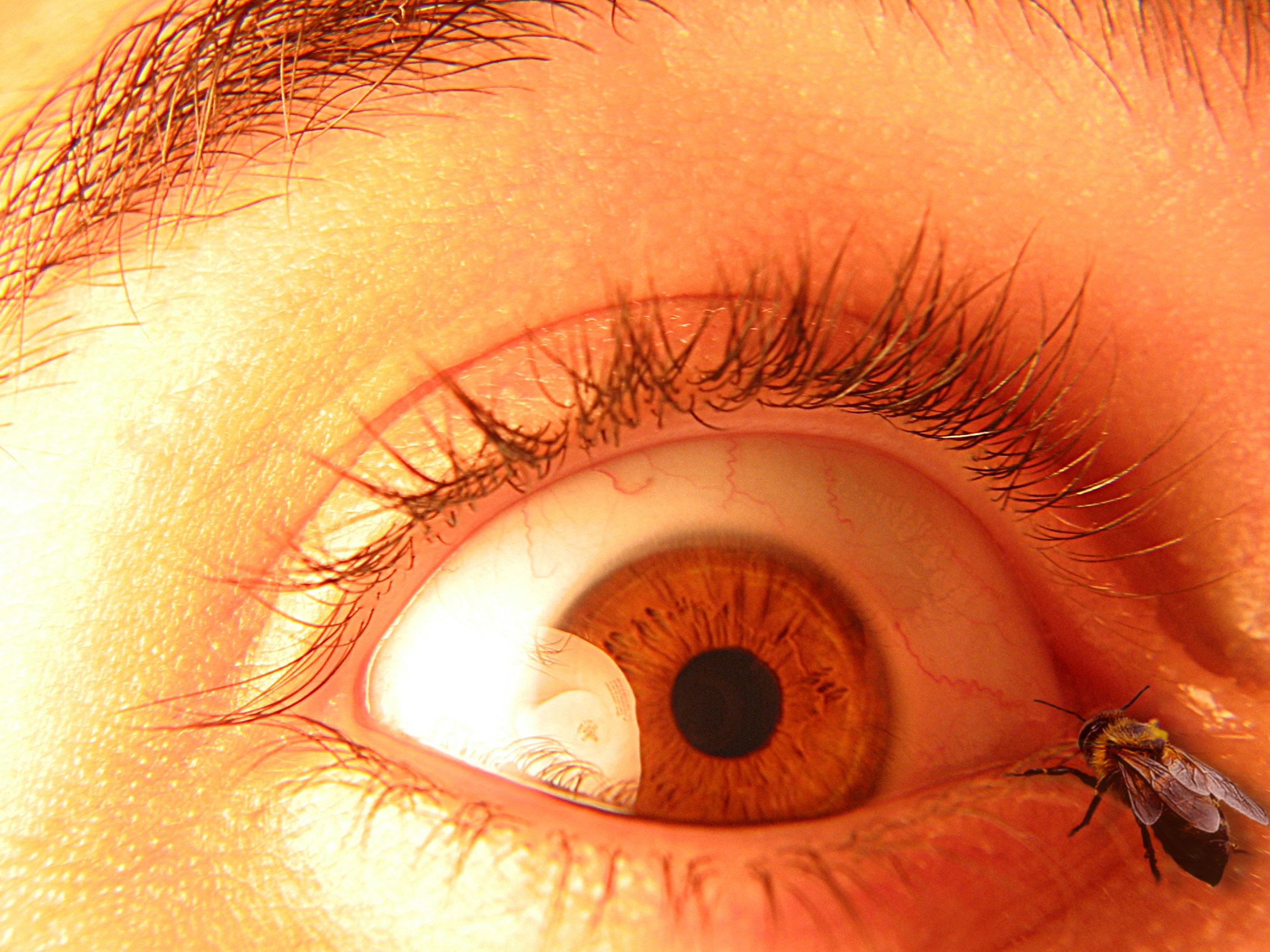 Logo Design by bigbucho for DesignCrowd (Community Contests) | Design #9122620