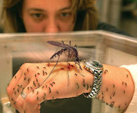 Photoshop Design by Monkeyknife for DesignCrowd (Community Contests) | Design #9129640