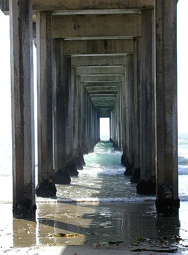 Photographie par cometgymmom pour DesignCrowd (Community Contests) | Design #9129524