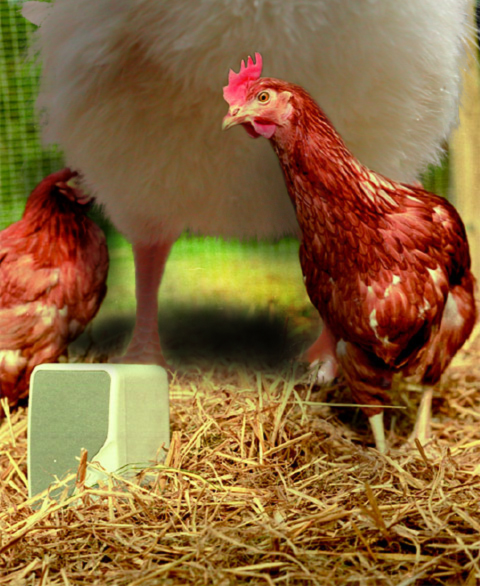 Photoshop-Design von Bb für DesignCrowd (Community Contests) | Design #9129729