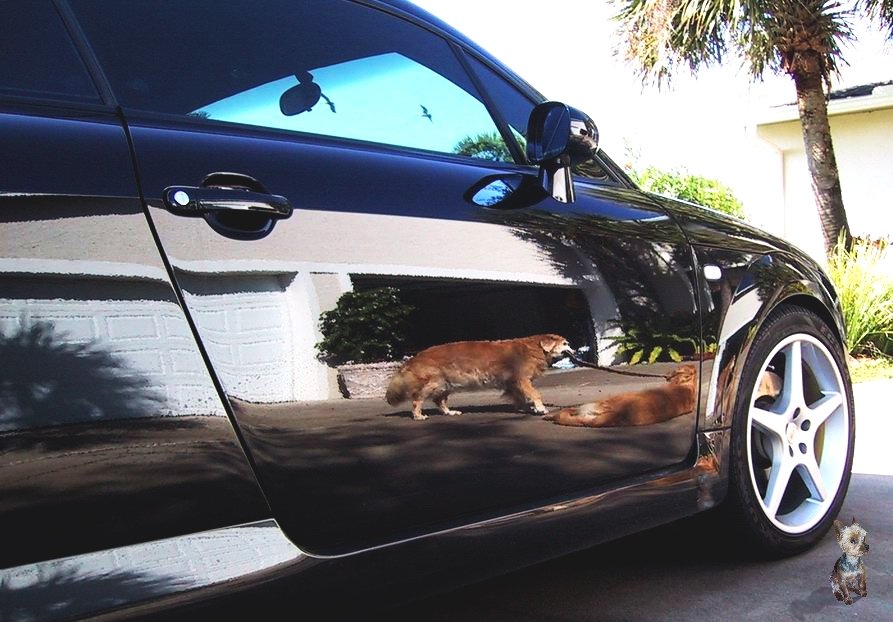 Photoshop Design by bubufr for DesignCrowd (Community Contests) | Design #9129728