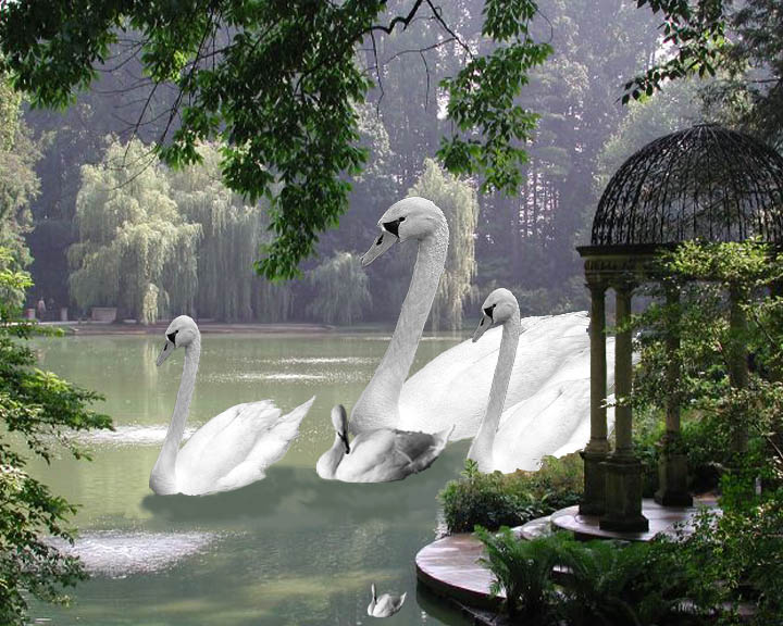 Photoshop Design by crystalanne for DesignCrowd (Community Contests) | Design #9129750