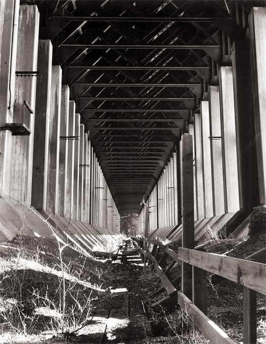 Photography by Six-Something for DesignCrowd (Community Contests) | Design #9129501