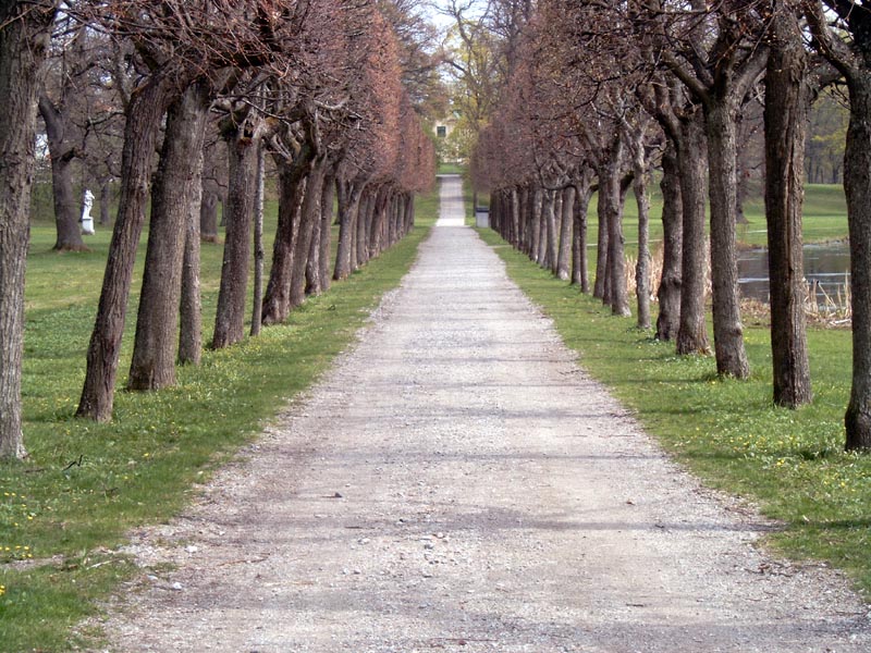 Fotografie von Incarlight für DesignCrowd (Community Contests) | Design #9129559