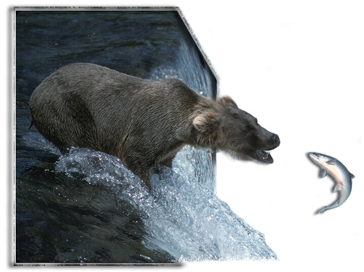 Photoshop Design by neznam for DesignCrowd (Community Contests) | Design #9148972