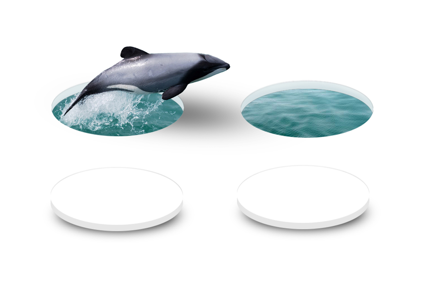 Photoshop Design by AMG for DesignCrowd (Community Contests) | Design #9148980