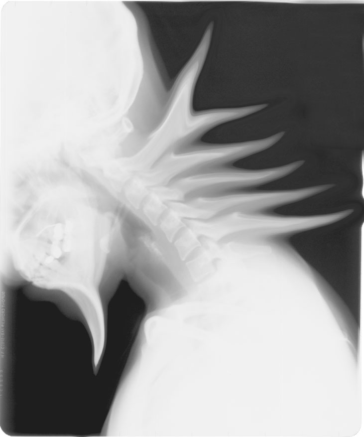 Photoshop Design by moges for DesignCrowd (Community Contests) | Design #9122019