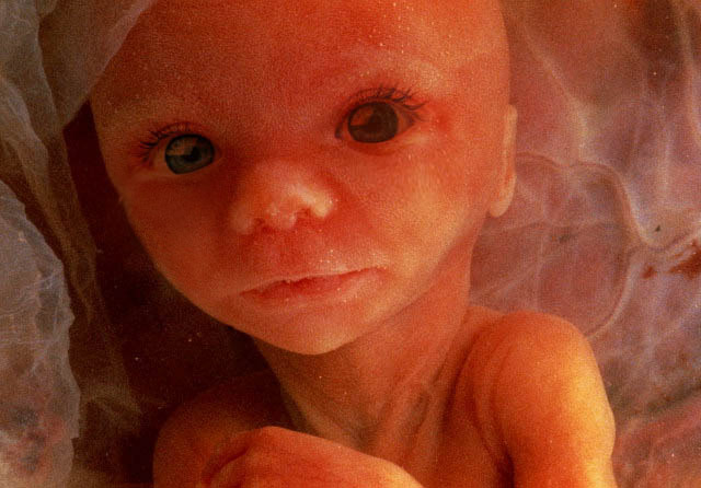 Photoshop Design by lefthand for DesignCrowd (Community Contests) | Design #9122022