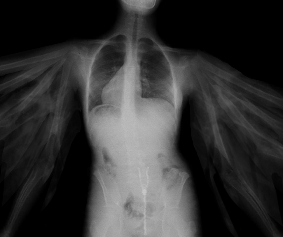 Photoshop Design by N-Design for DesignCrowd (Community Contests) | Design #9122028