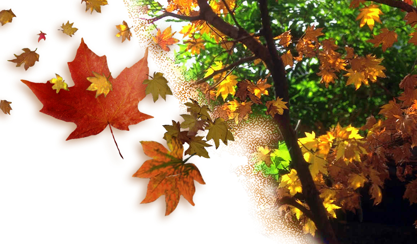 Photoshop Design by stinkobinko for DesignCrowd (Community Contests) | Design #9148953