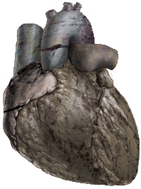 Photoshop-Design von thavron für DesignCrowd (Community Contests) | Design #9122055