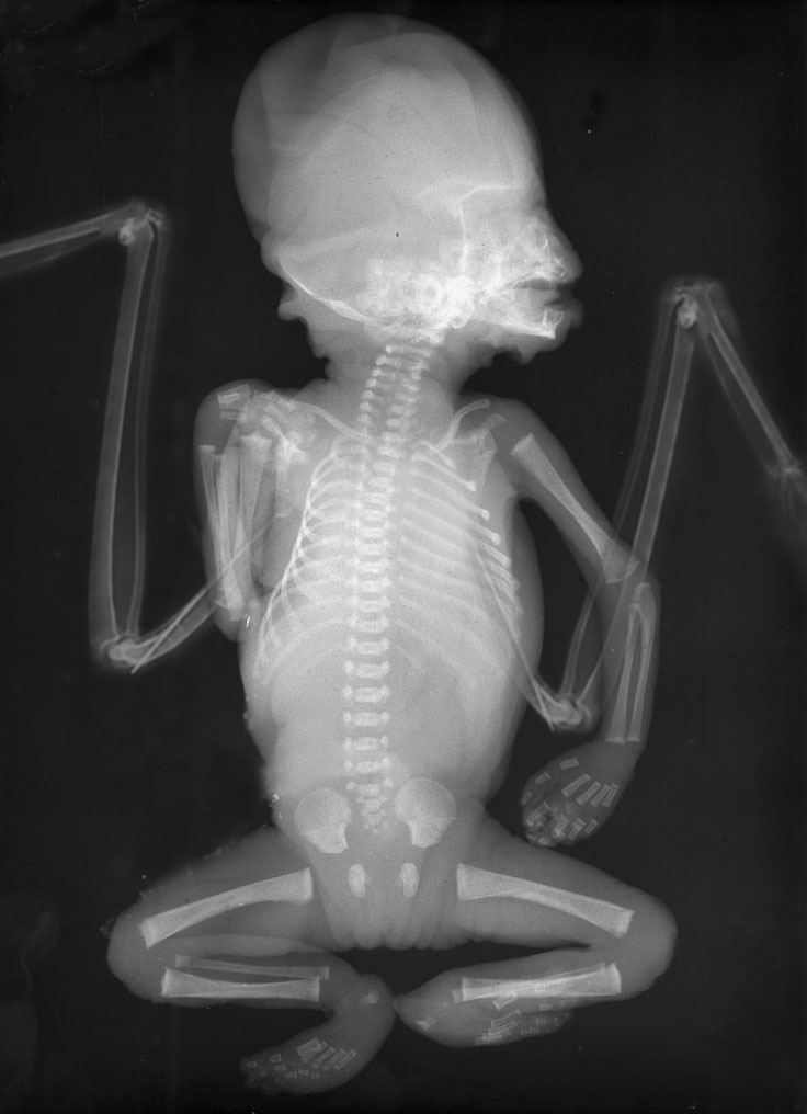 Photoshop Design by MPolgara for DesignCrowd (Community Contests) | Design #9122044