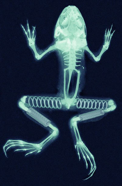 Photoshop-Design von silvagod für DesignCrowd (Community Contests) | Design #9122102