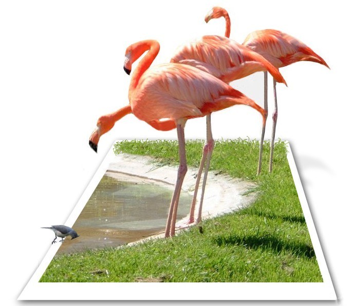 Design Photoshop par SiIkenFairy pour DesignCrowd (Community Contests) | Design #9141819