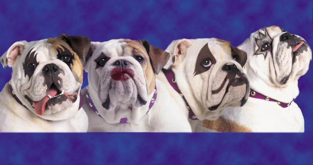 Photoshop Design by YSR50 for DesignCrowd (Community Contests) | Design #9142182
