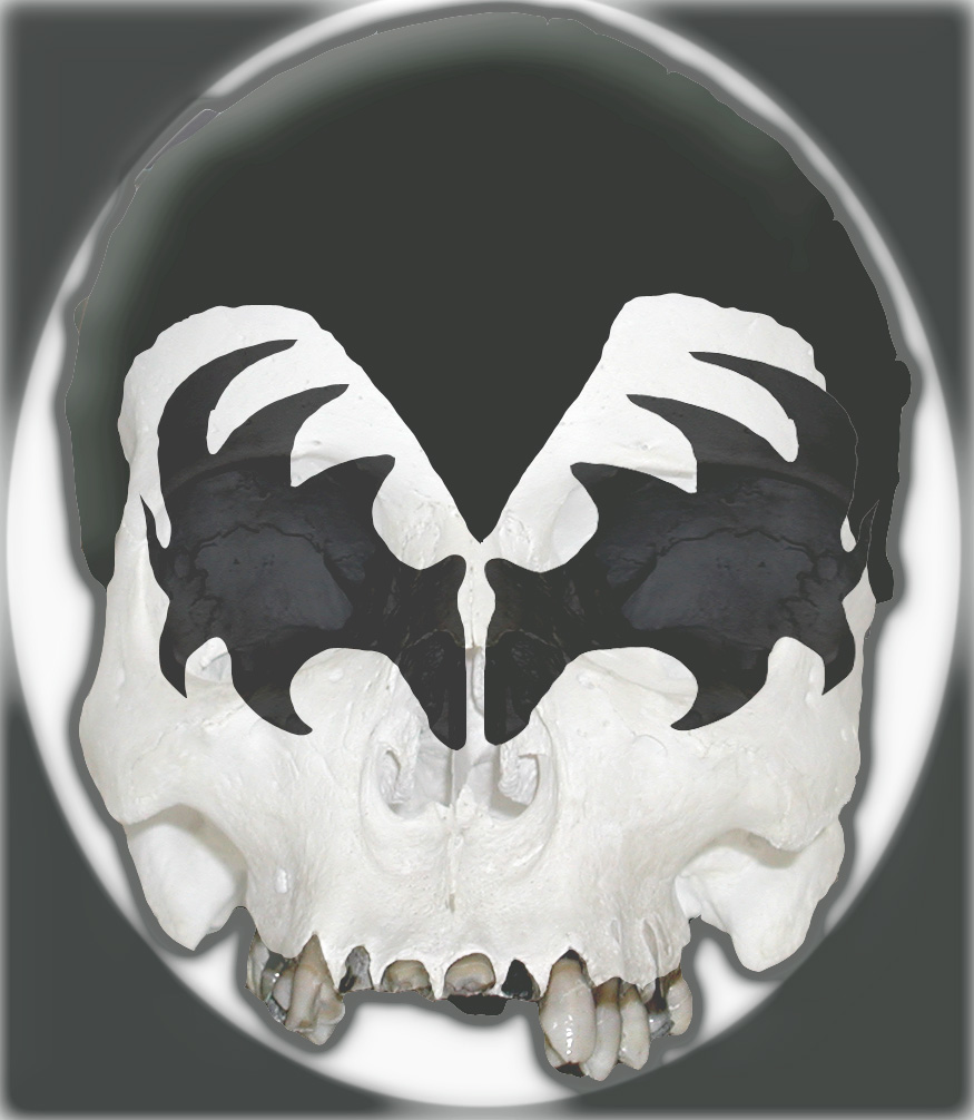 Photoshop Design by neoplasticsniper for DesignCrowd (Community Contests) | Design #9142246