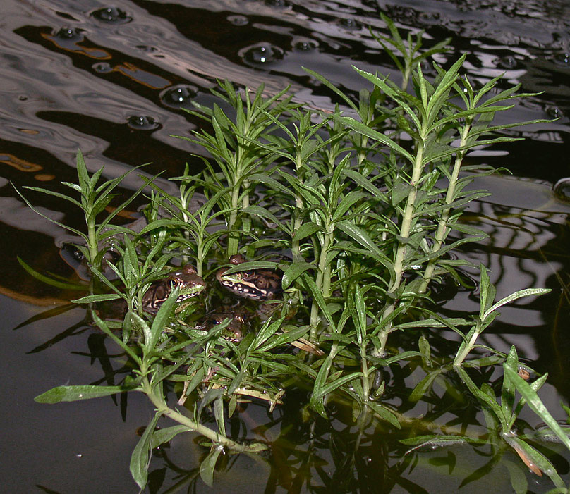 Photography by Philbert for DesignCrowd (Community Contests) | Design #9148017