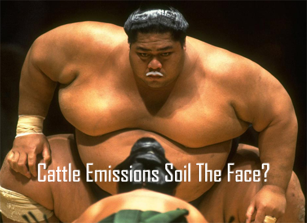 Photoshop Design by tiddlycove for DesignCrowd (Community Contests) | Design #9145118