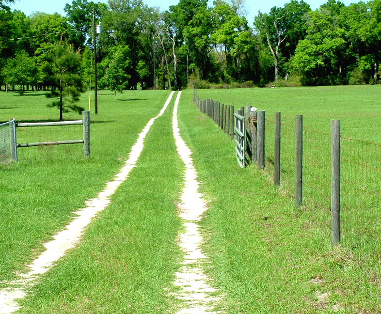 Fotografía por TampaDroid para DesignCrowd (Community Contests) | Diseño #9142447