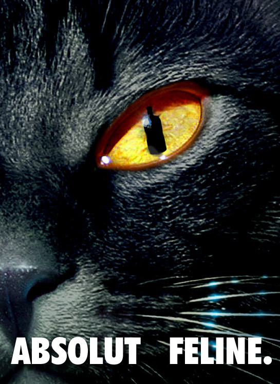 Design Photoshop par Shanakla pour DesignCrowd (Community Contests) | Design #9141864