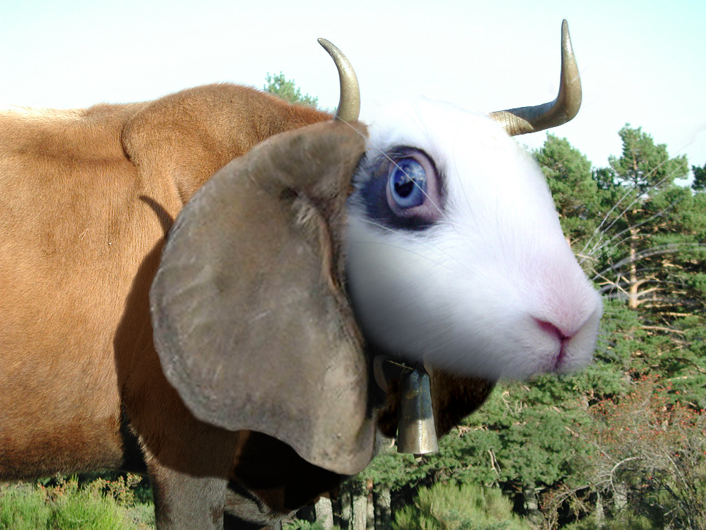 Photoshop-Design von Bb für DesignCrowd (Community Contests) | Design #9129708