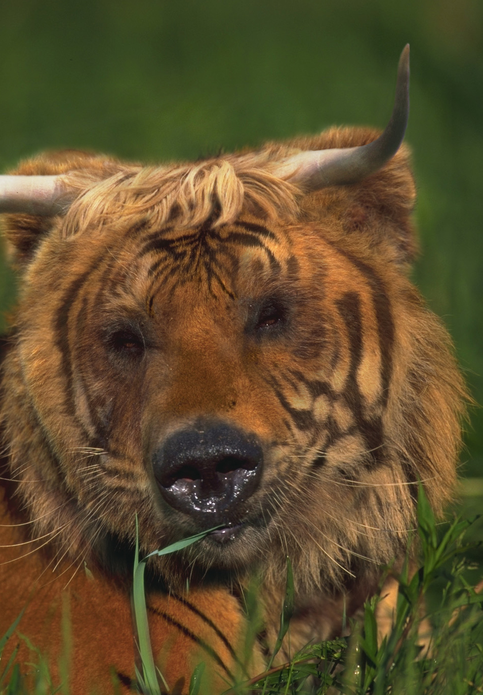 Photoshop Design by neznam for DesignCrowd (Community Contests) | Design #9129700