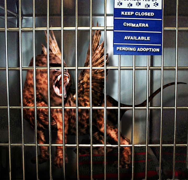 Design Photoshop par Jolt pour DesignCrowd (Community Contests) | Design #9129696