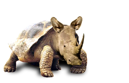 Photoshop Design by alzeke for DesignCrowd (Community Contests) | Design #9129722