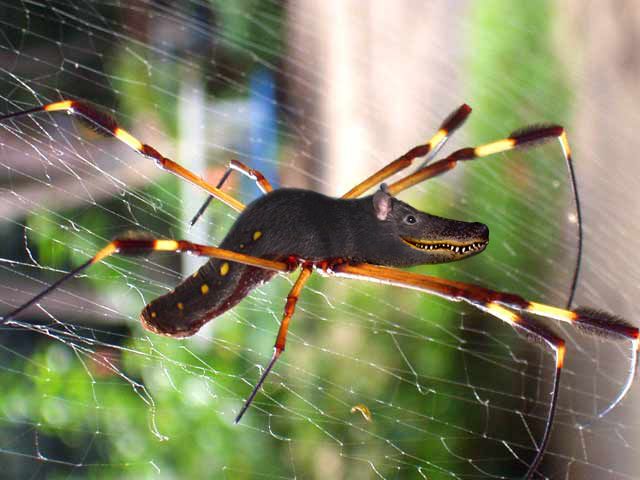 Photoshop-Design von ecolio für DesignCrowd (Community Contests) | Design #9129799