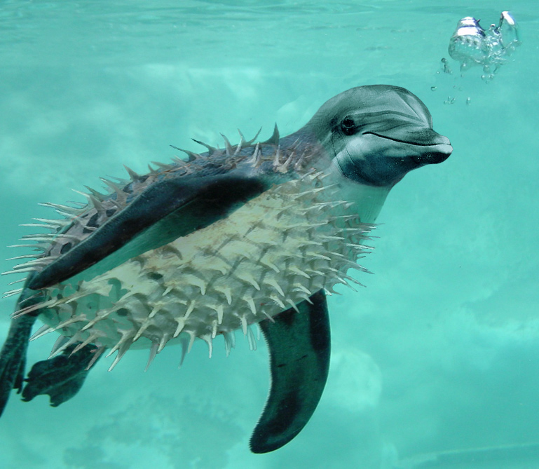 Design Photoshop par Megain pour DesignCrowd (Community Contests) | Design #9129782