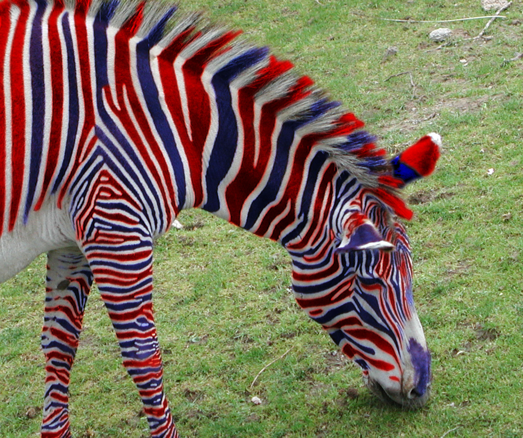 Photoshop Design by Wahoo for DesignCrowd (Community Contests) | Design #9143776