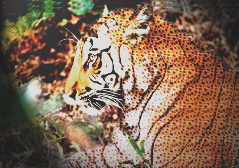 Design Photoshop par abaady_sa pour DesignCrowd (Community Contests) | Design #9143786