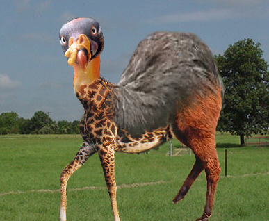 Design Photoshop par Boreetos pour DesignCrowd (Community Contests) | Design #9129771