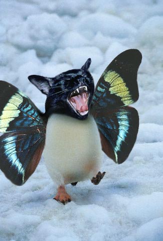 Photoshop Design by Monkeyknife for DesignCrowd (Community Contests) | Design #9129763