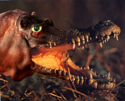 Photoshop-Design von silvagod für DesignCrowd (Community Contests) | Design #9129904