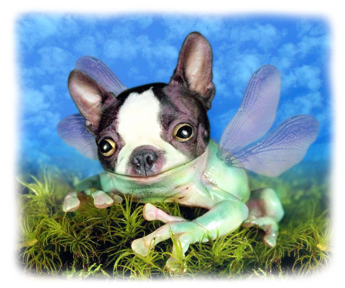 Photoshop Design by claven for DesignCrowd (Community Contests) | Design #9129819