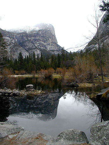 Photographie par cometgymmom pour DesignCrowd (Community Contests) | Design #9142728